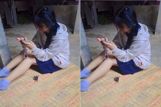 Đụ vào nhà bạn để làm tình